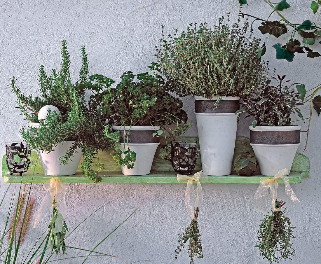 Wall shelf with rosemary, parsley