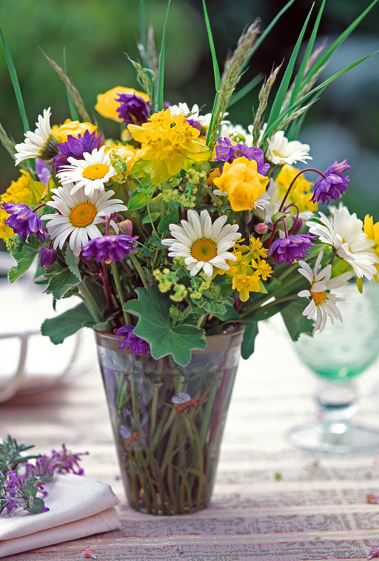 Argyranthemum (Marguerite), Trollius (Trollflower), Alchemilla