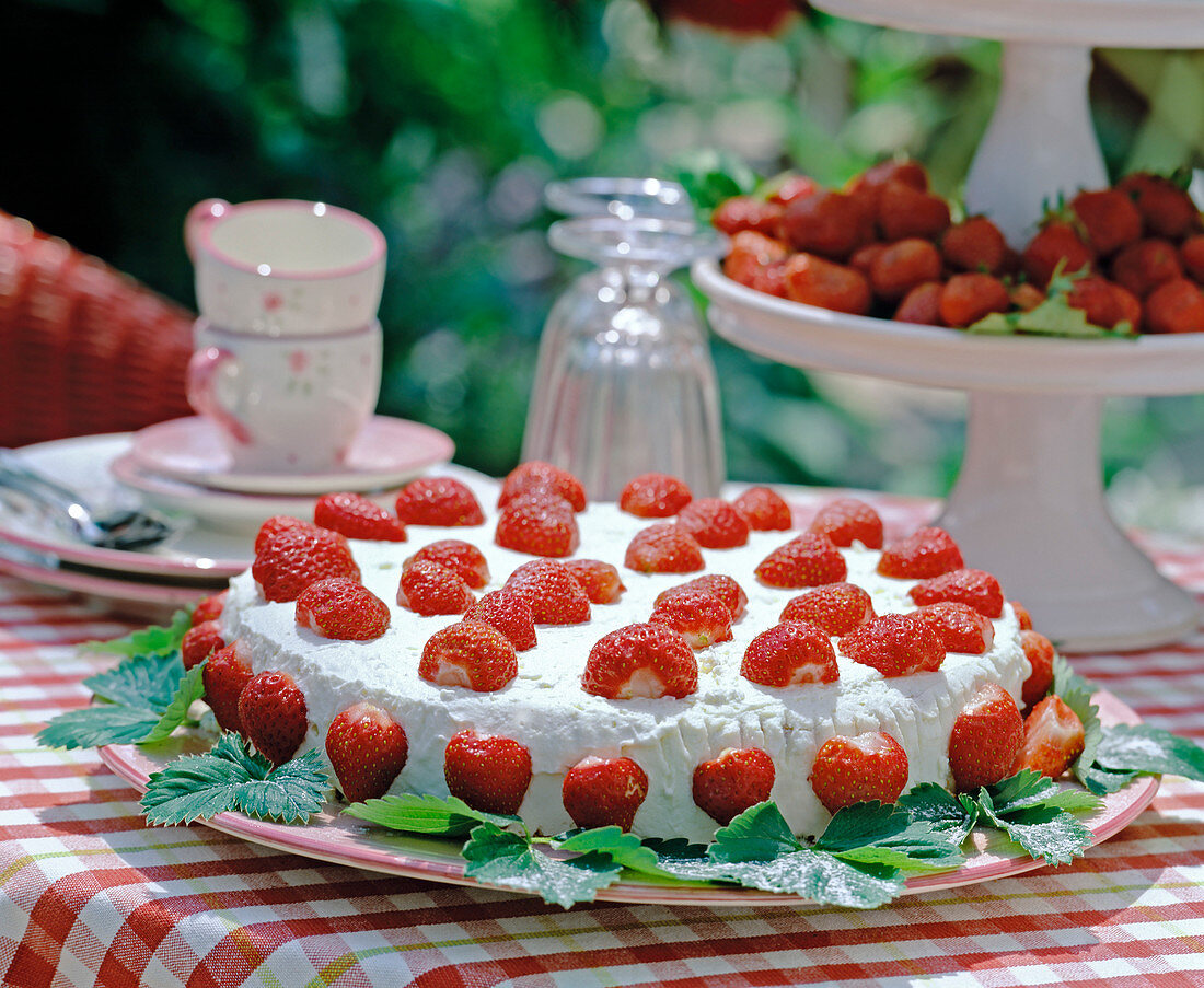 Strawberry cake decorated with strawberries