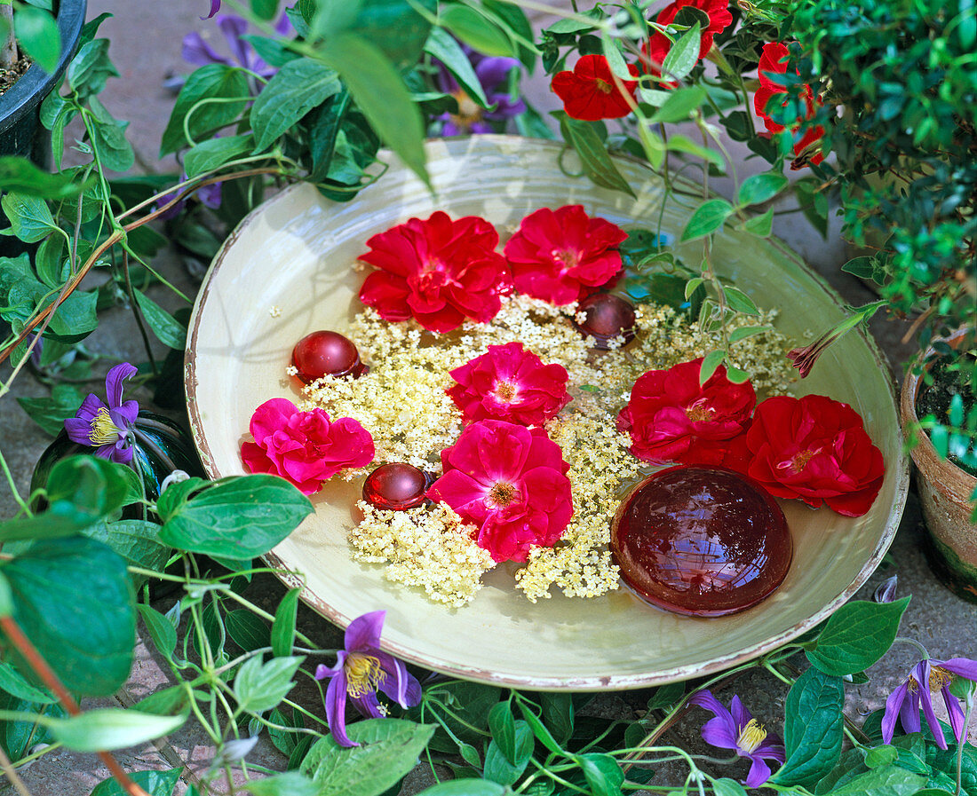 Bowl with blossoms in water, roses, Sambucus (elder)