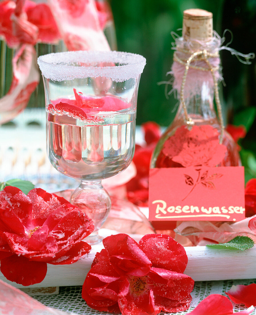 Herstellen von Rosenwasser, Rosenblüten gezuckert, Glas