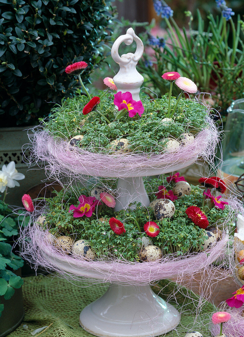 Porcelain planter with seeded cress