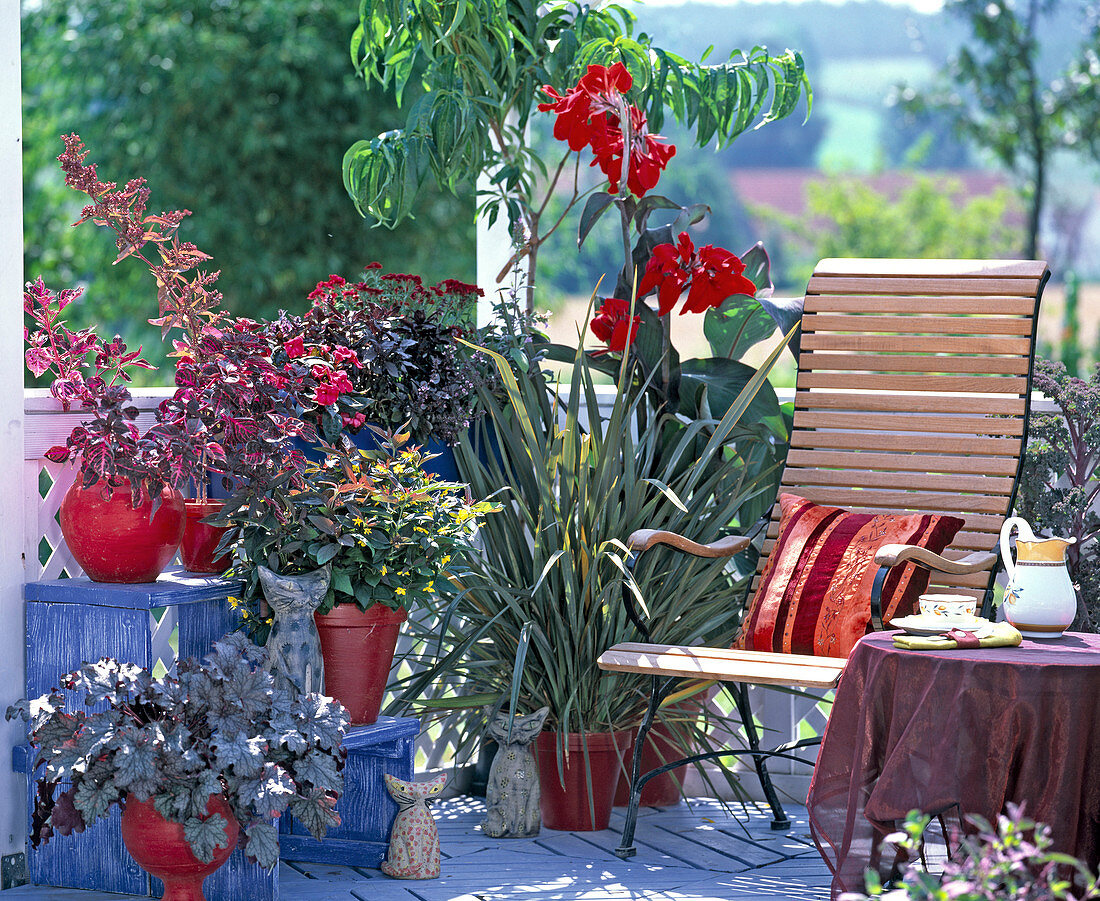 Red balcony with Heuchera Hybr. 'Amethyst Mist', Iresine herbstii, Impatiens