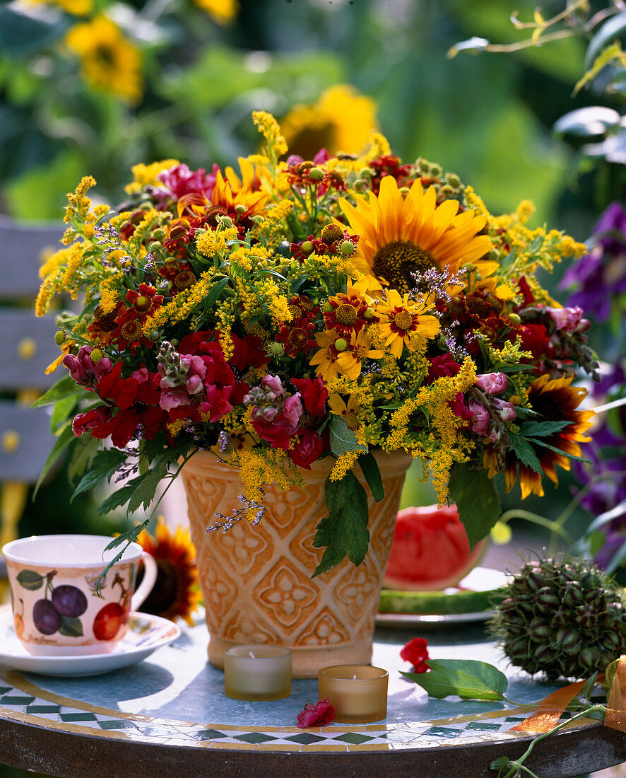 Helianthus annuus (Sonnenblume), Solidago (Goldrute)