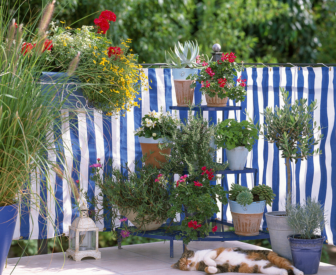 Balkon mit Bespannung in blau (weiß gestreift mit pflegeleichten Pflanzen