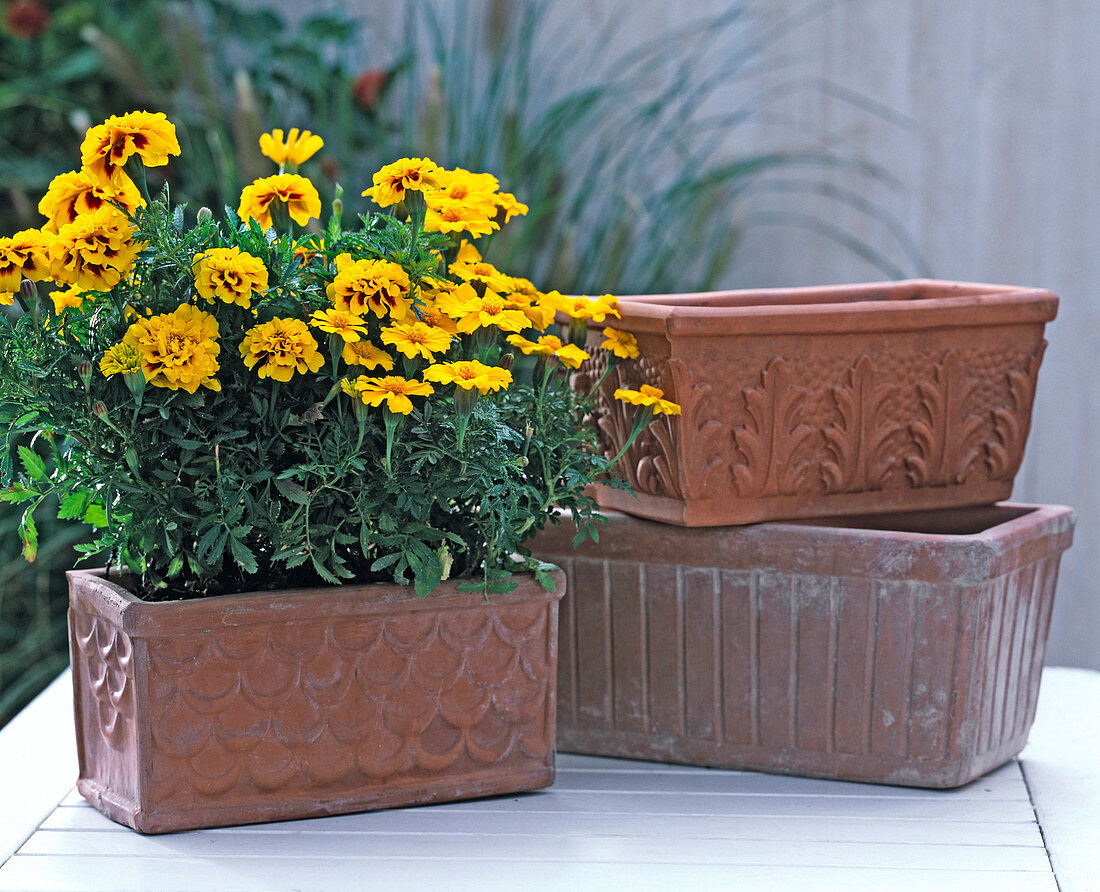 Various balcony boxes made of clay