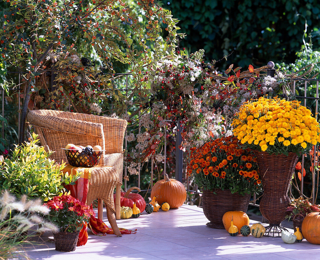 Autumn balcony clematis tendrils and various branches with berries around the railing