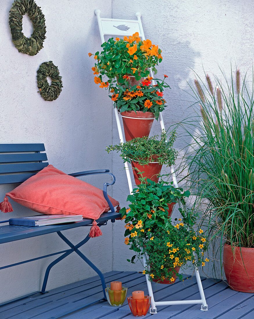 Metal leaning ladder with 5 hangers for flower pots to lean against the wall,