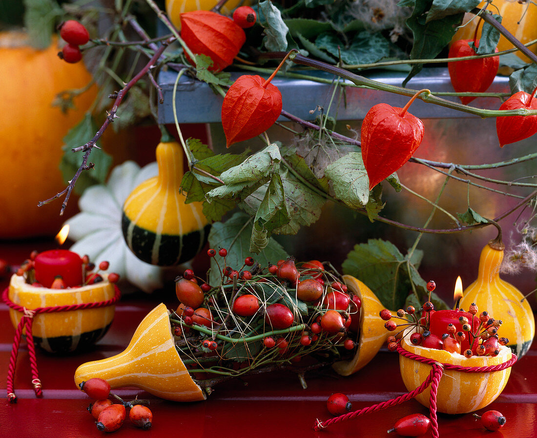 Decoration with ornamental pumpkins as candle holders, arrangement with rosehip twigs tied together with wire