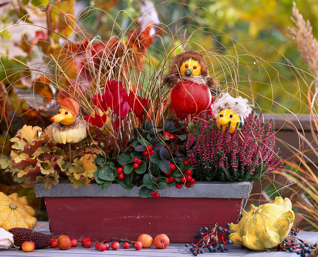 Autumn balcony with pumpkin figures, Cucurbita, Heuchera, 'Amber Waves'