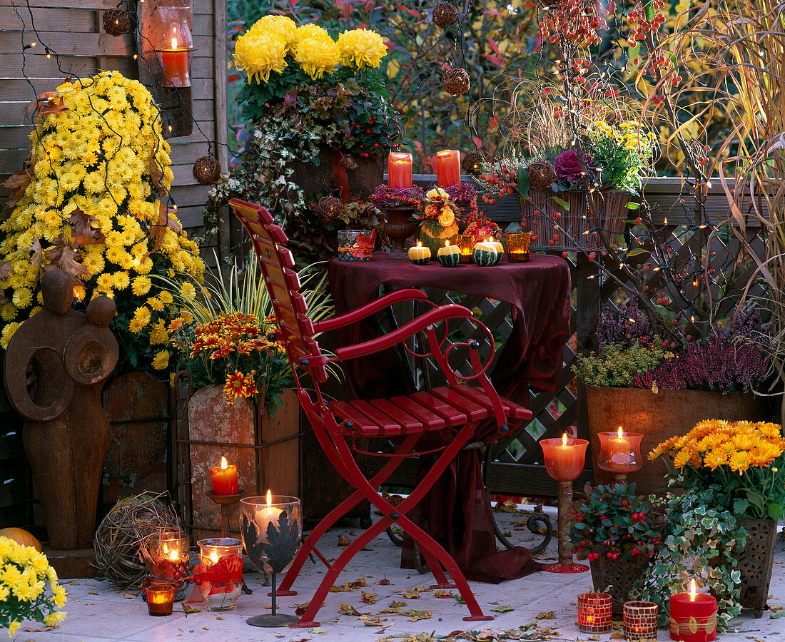 Herbstbalkon mit Kerzenlicht: Chrysanthemum-Pyramide 'Janice', 'Machismo Time'