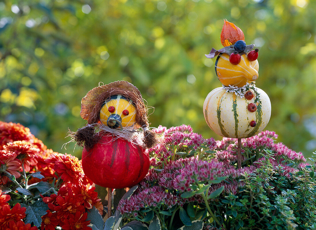 Pumpkin woman and pumpkin man made of ornamental gourds, chrysanthemum, sedum stonecrop