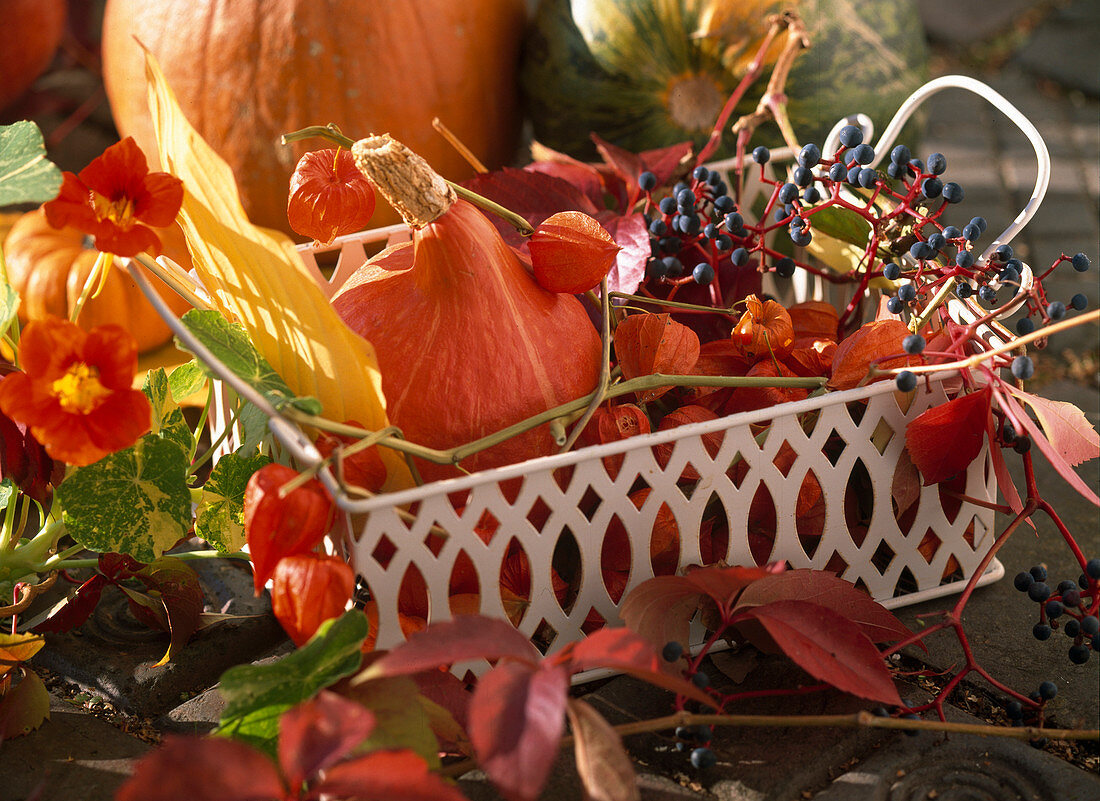 Metal tray with cucurbita (Hokkaido pumpkin), physalis (lampion)