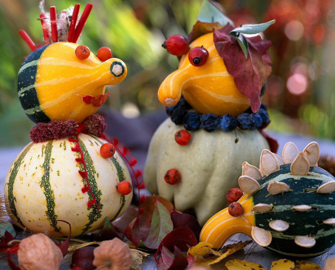 Pumpkin figures, Cucurbita (ornamental squash), Sorbus (rowanberry)