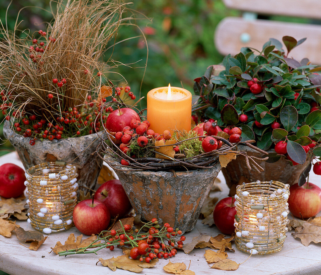 Carex testacea (autumn sedge), Gaultheria 'Winter Pearls' (false berry), Rosa (rose hips)