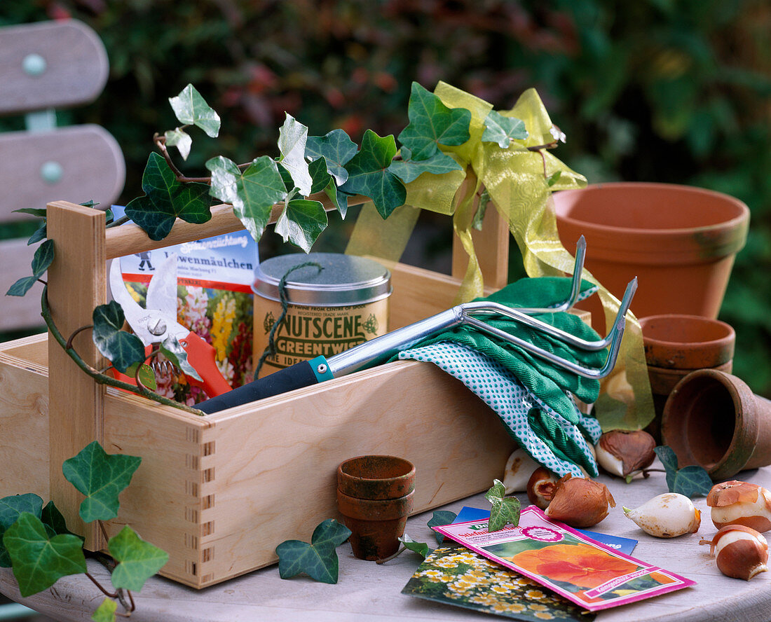 Tool box as a gift for gardeners with Hedera (ivy)