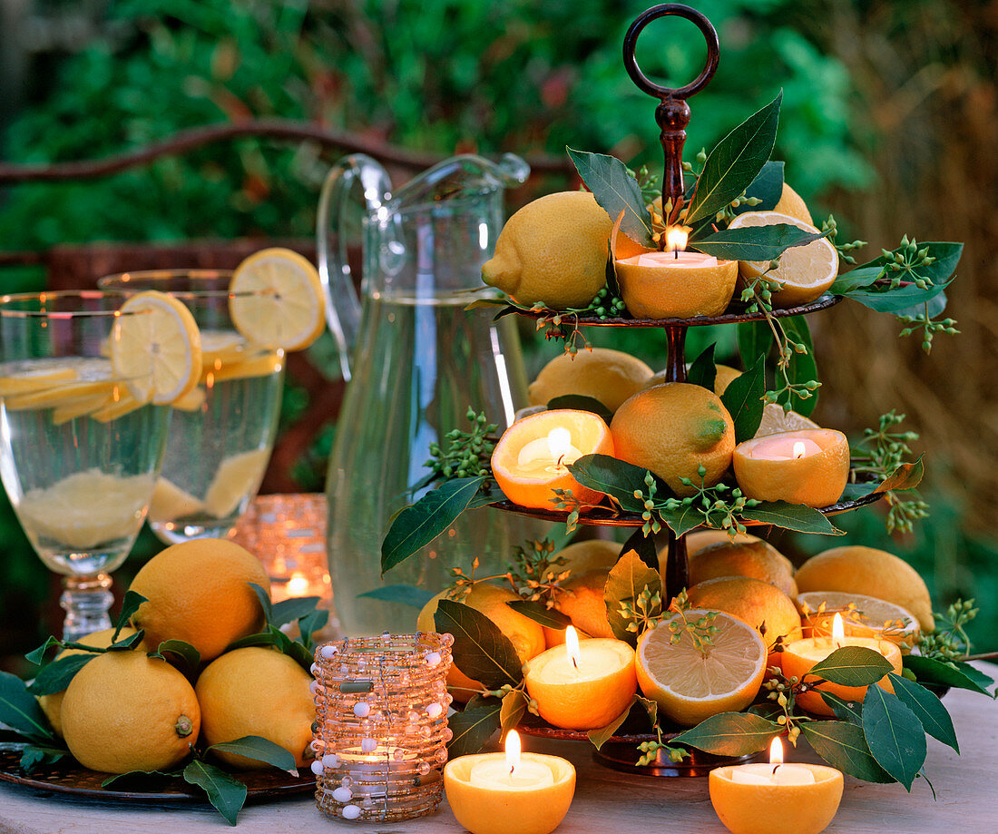 Etagere mit Citrus limon (Zitrone), Laurus nobilis (Lorbeer)