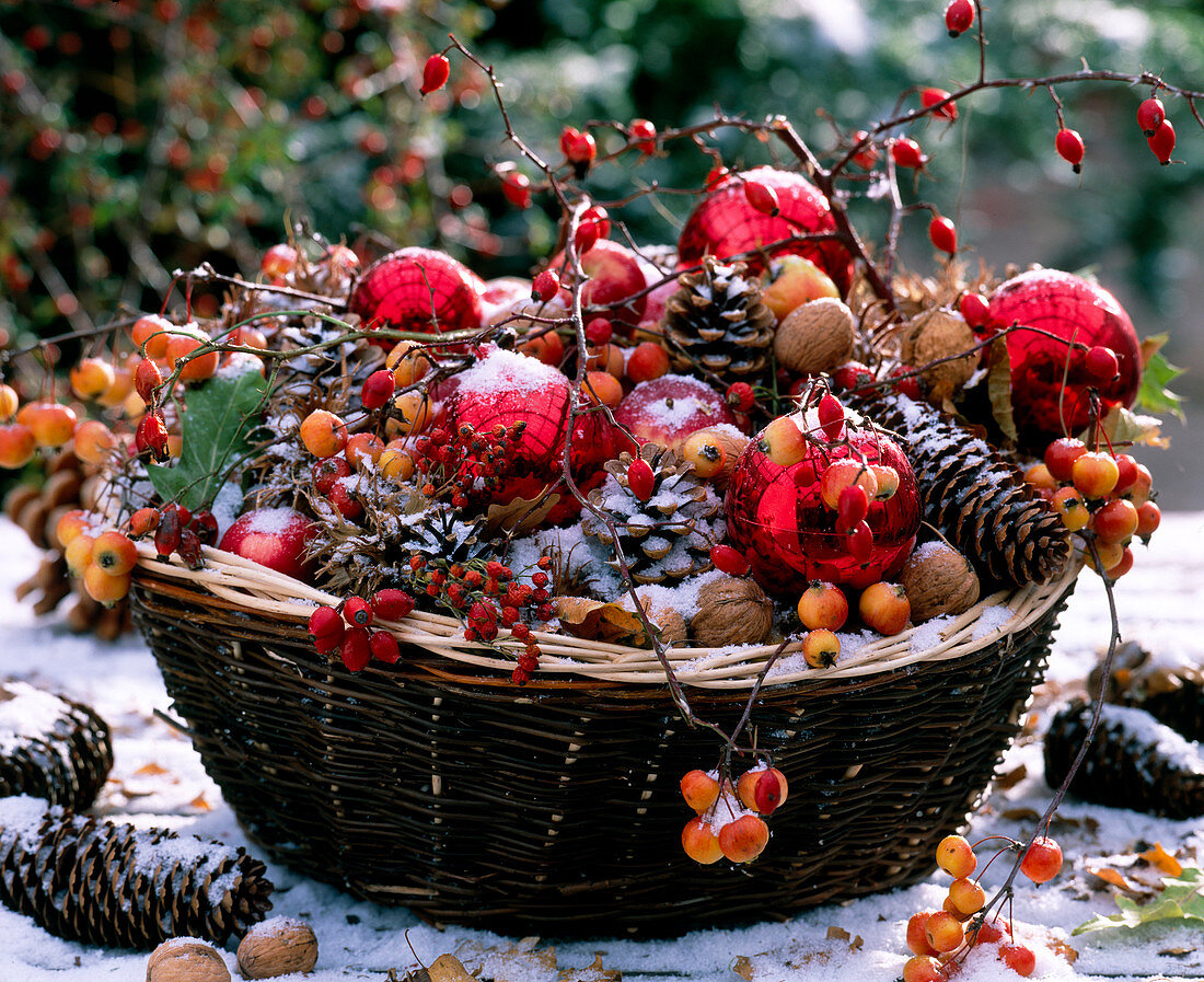 Basket with Malus (apples and ornamental apples), Rosa (rose hips), Corylus colurna (tree hazel)
