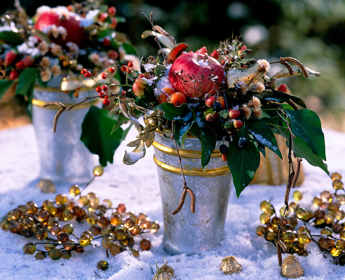 Malus (Apfel und Zieräpfel), Hedera (Efeu), Hypericum (Johanniskraut), Rosa (Hagebutte)