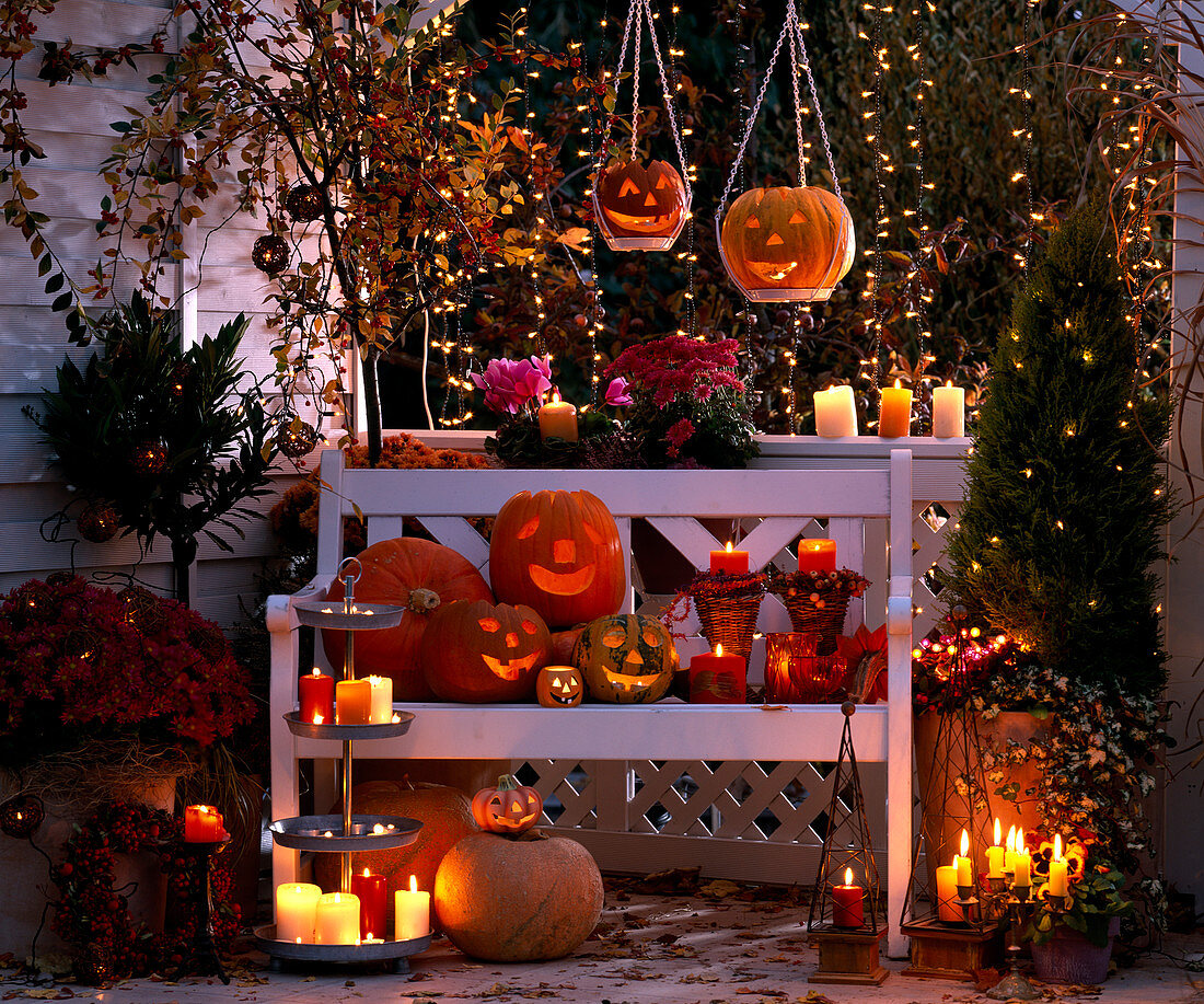 Illuminated Halloween Balcony, Cucurbita Gourds, Chrysanthemum, Cotoneaster