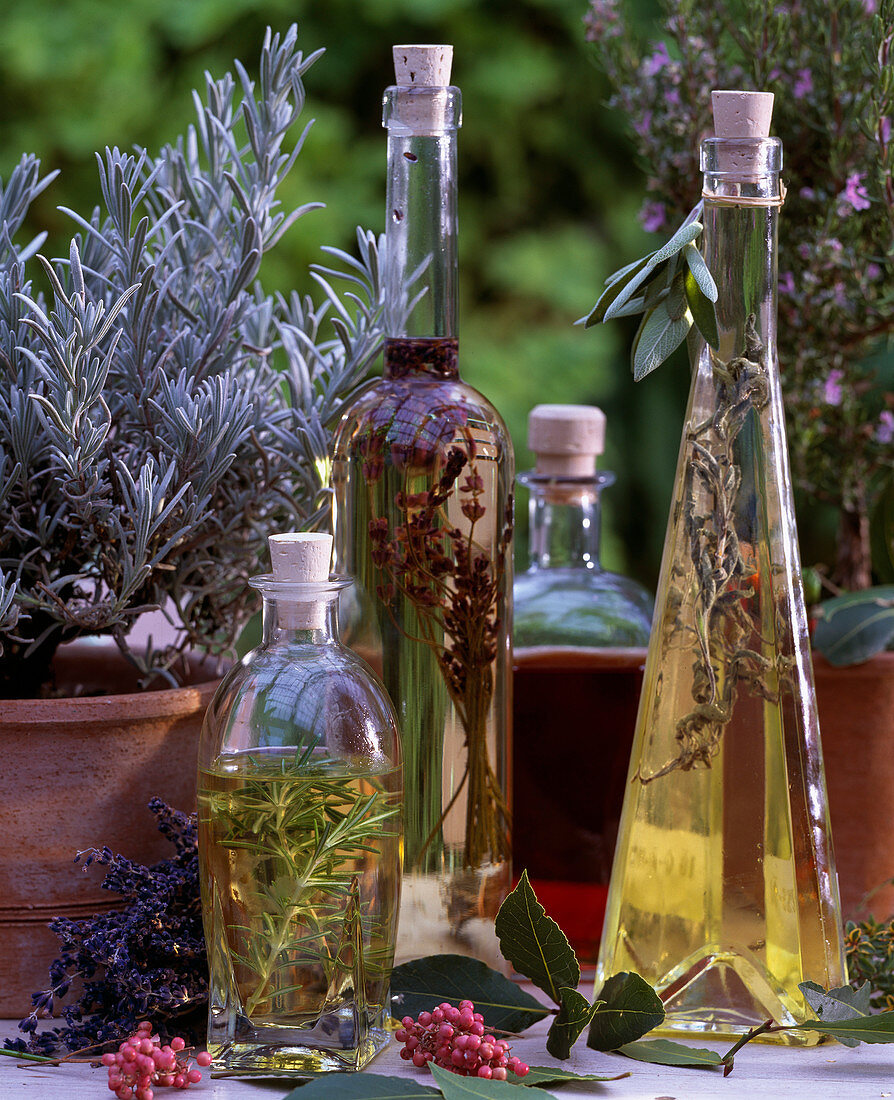 Herbal oil and vinegar, Lavandula (lavender), Rosmarinus (rosemary), Laurus (laurel)