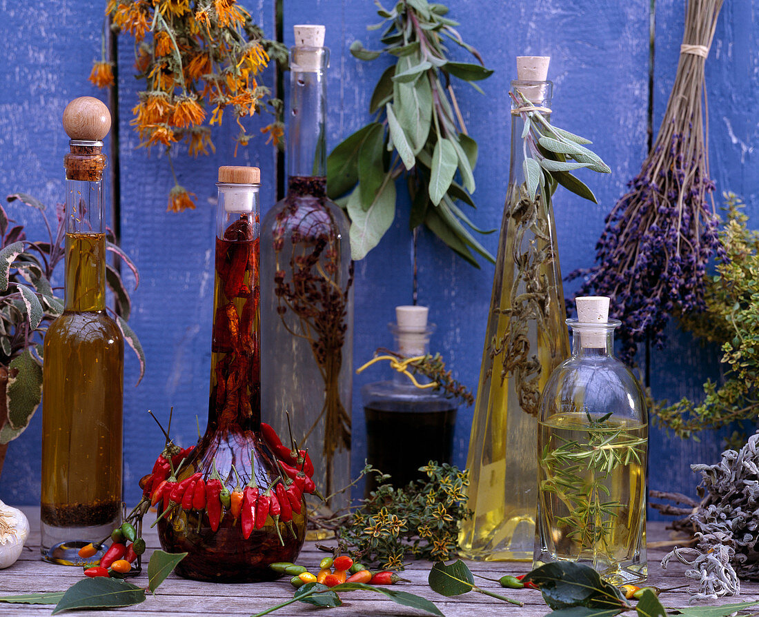 Herb oil, Salvia (sage), Calendula (marigold), Capsicum (chilli), Thymus (lemon thyme)