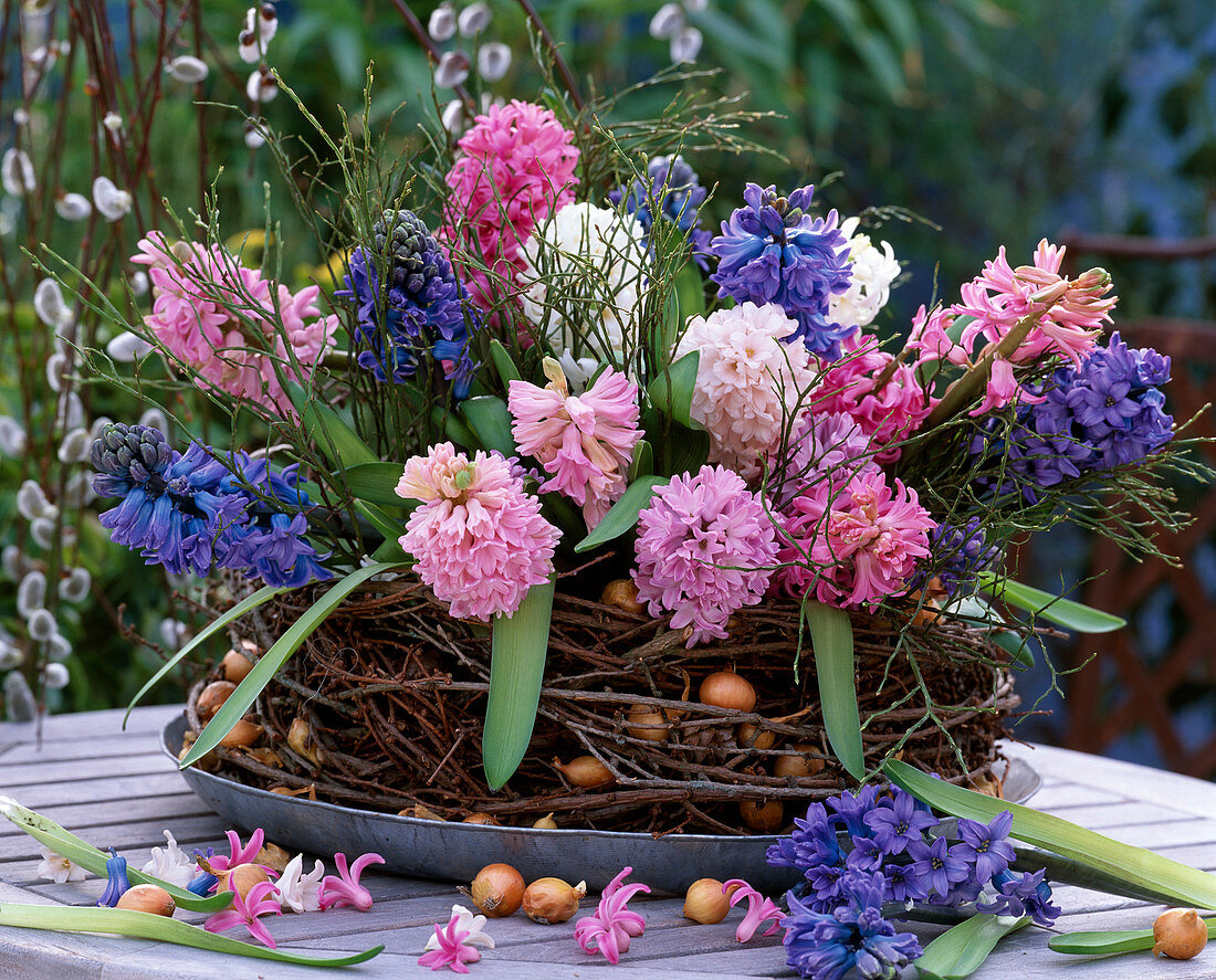 Hyacinthus orientalis (Hyacinths), Vaccinium (Blueberry branches)