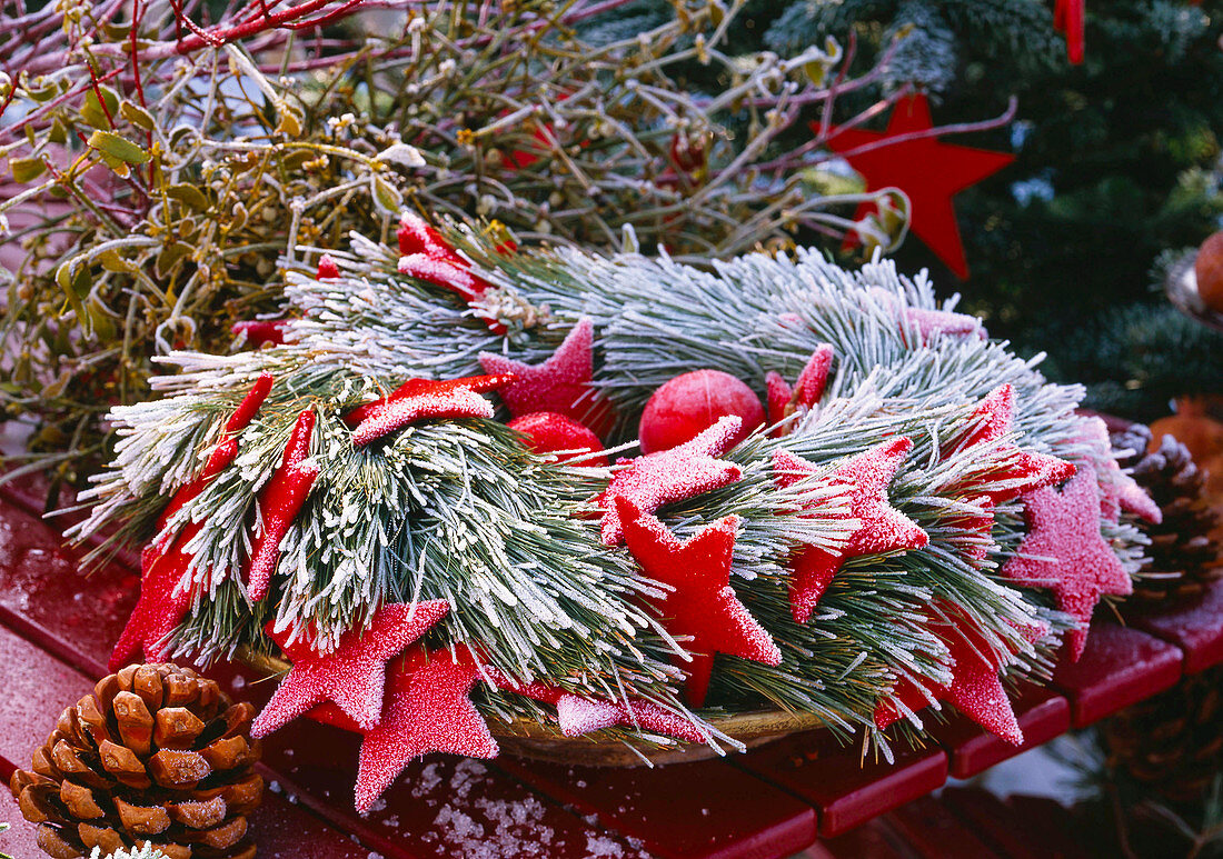 Kranz aus Pinus (Seidenkiefer) mit roten Sternen, Kugeln, Pinus (Pinienzapfen)