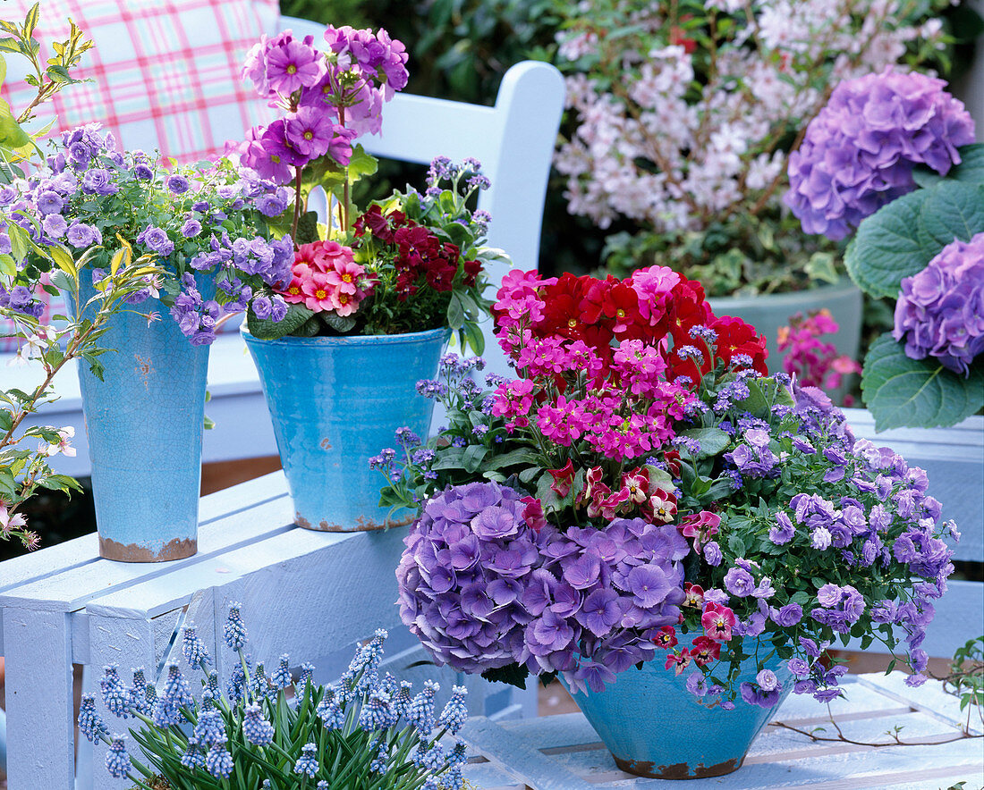 Blue-pink spring arrangement