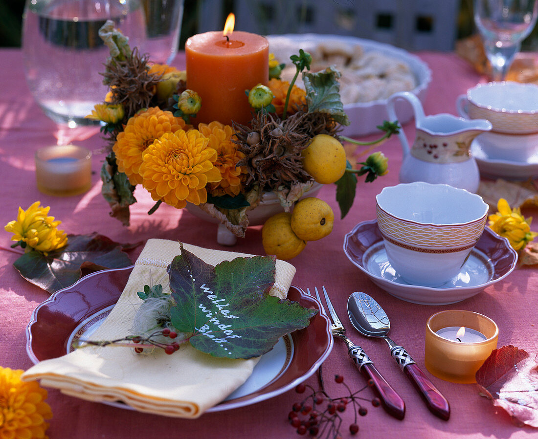 Dahlia (Dahlien), Corylus (Baumhasel), Chaenomeles (Zierquitte), Rosa (Hagebutte)