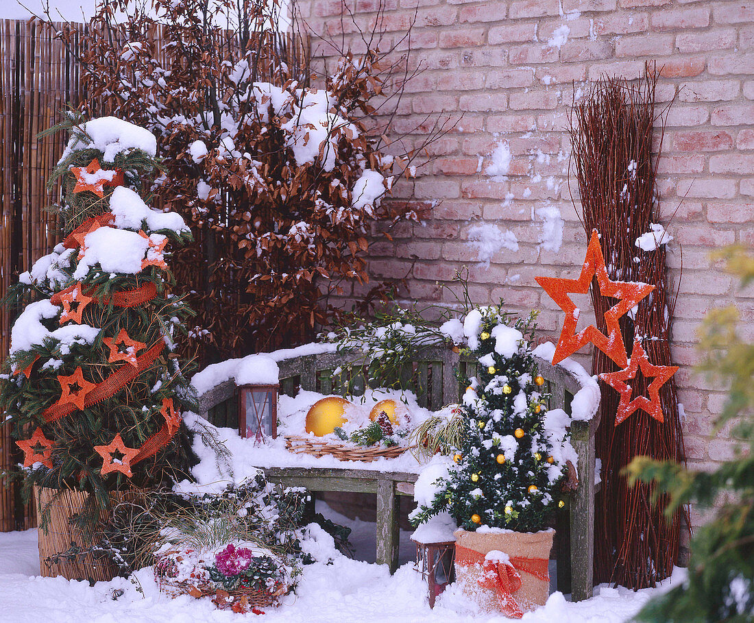 Buxus / Buchspyramide geschmückt mit Kugeln mit Picea / Fichtenreisig eingebunden