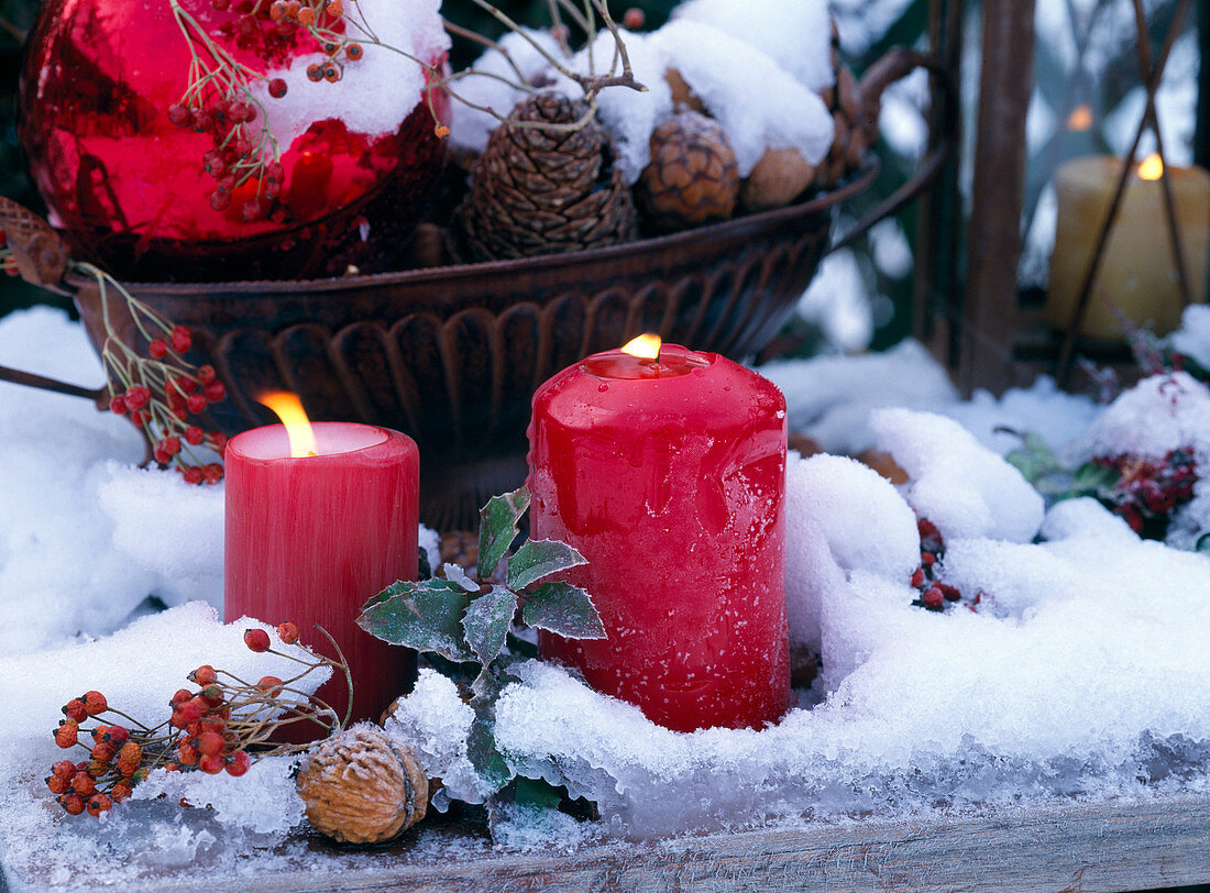 Red candles, Rosa (rose hips), Juglans (walnut)