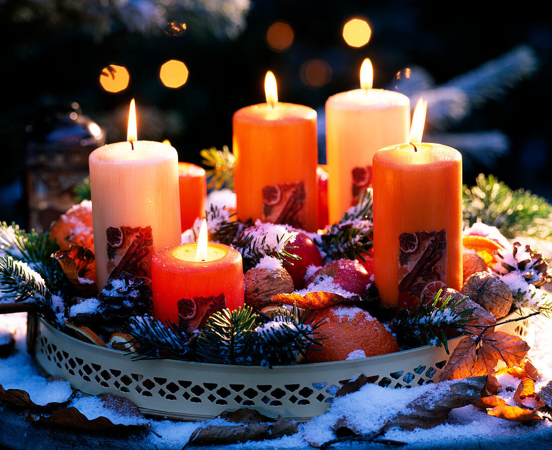 Metal tray with candles, Abies (fir branches), Citrus (oranges), Malus (apples)