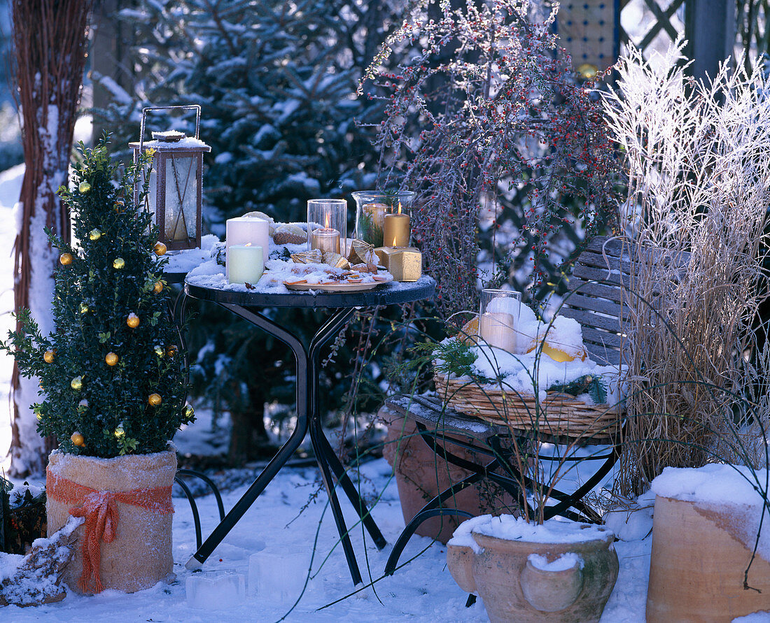 Table with candles and lanterns, lantern, buxus (book pyramid), cotoneaster