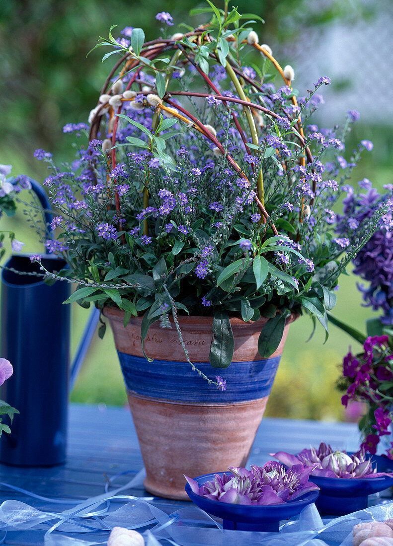 Myosotis (forget-me-not), salix (willow) branches as decoration