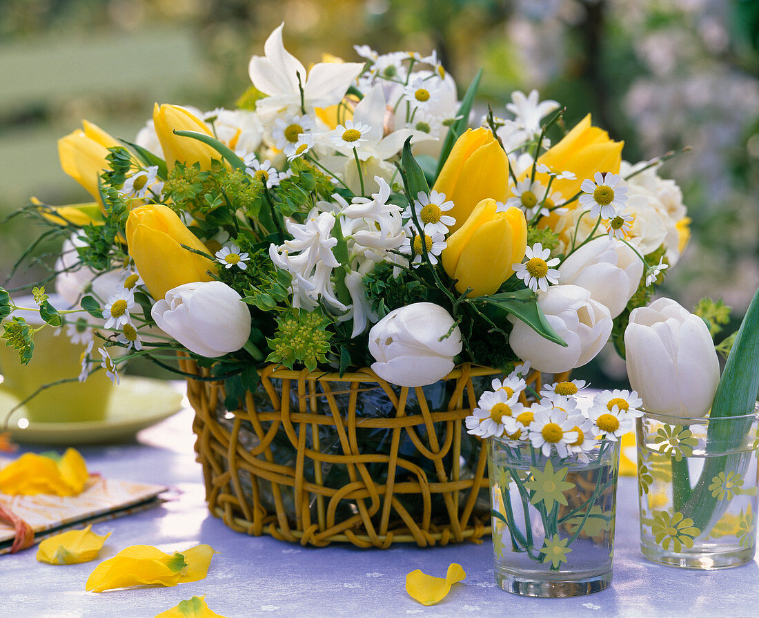 Tulipa (tulips) yellow and white, Hyacinthus (hyacinths)