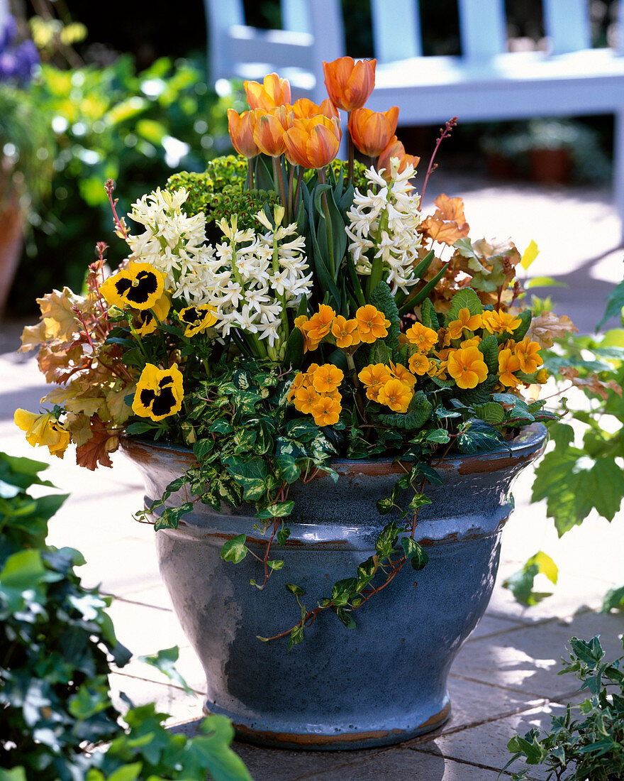 Colourfully planted spring pot