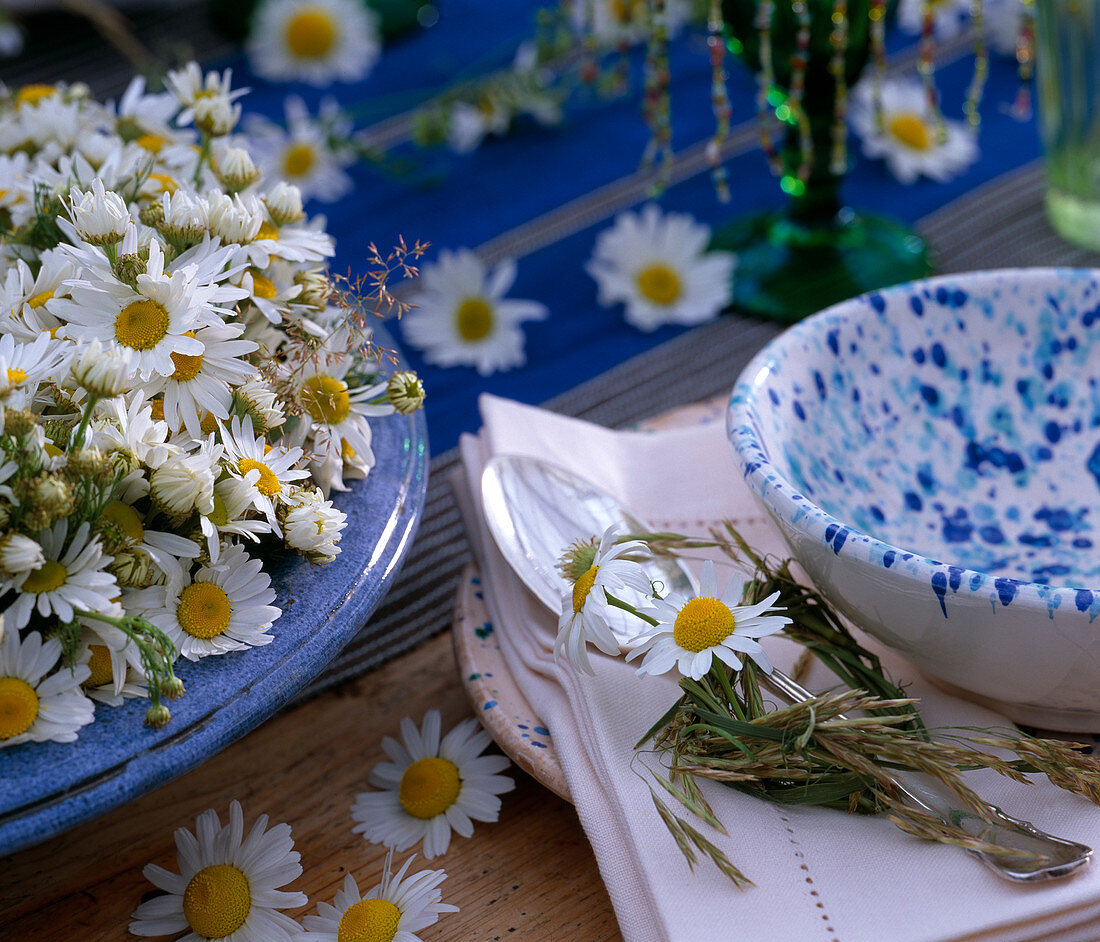 Leucanthemum (Margeriten), Matricaria (Kamille) in Schale als Tischdeko