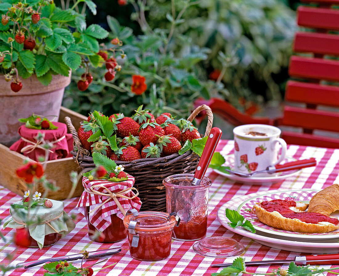 Fragaria (strawberries, strawberry jam)