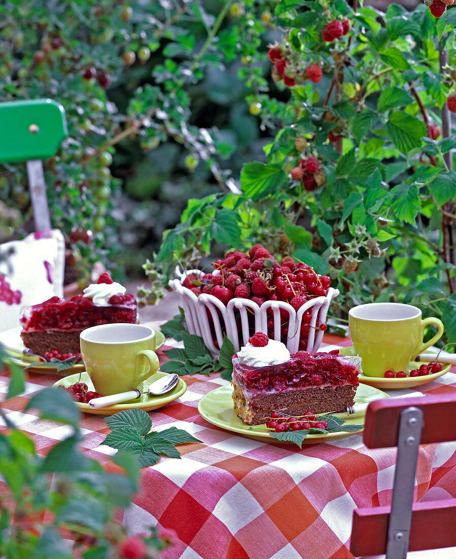 Rubus (raspberries), raspberry tart, Ribes (gooseberries and currants)