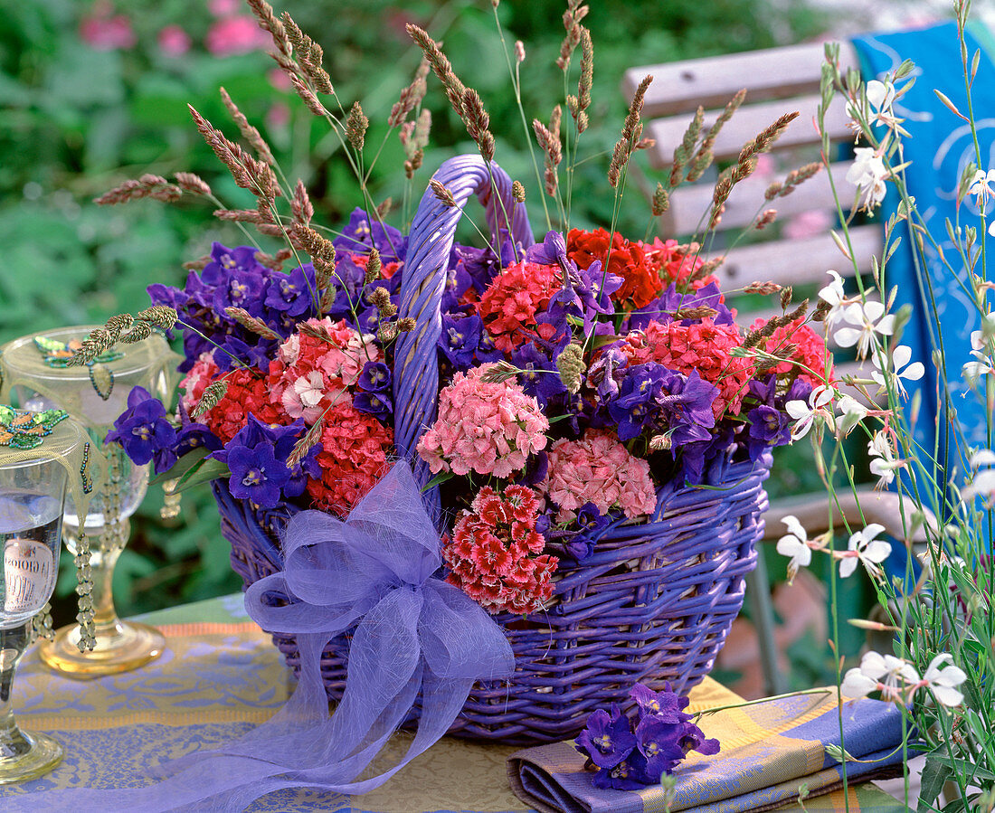 Dianthus barbatus / Bartnelken, Delphinium / Rittersporn, Poa