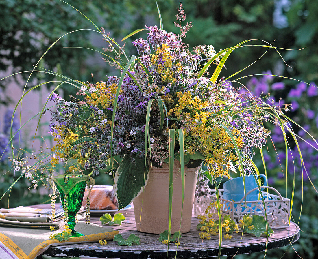 Borago (borage), Alchemilla (lady's mantle), Hosta (hosta)