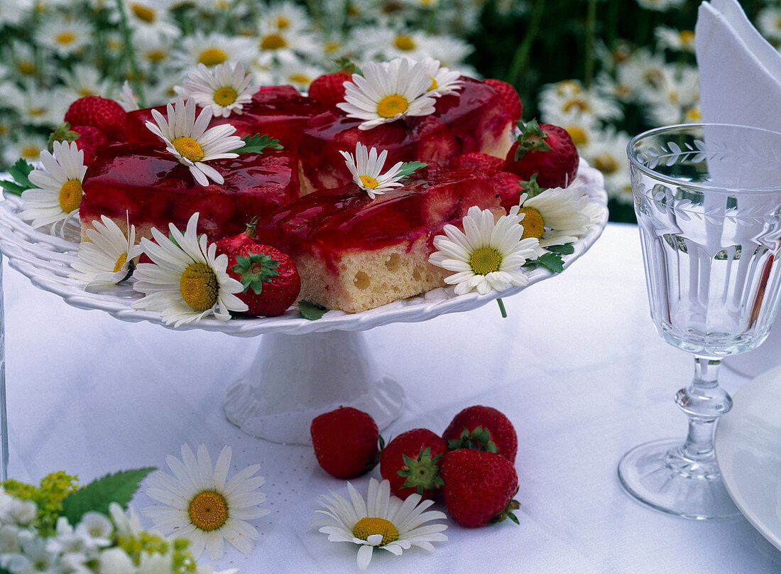 Cake tray with strawberry cake, Fragaria (strawberries)