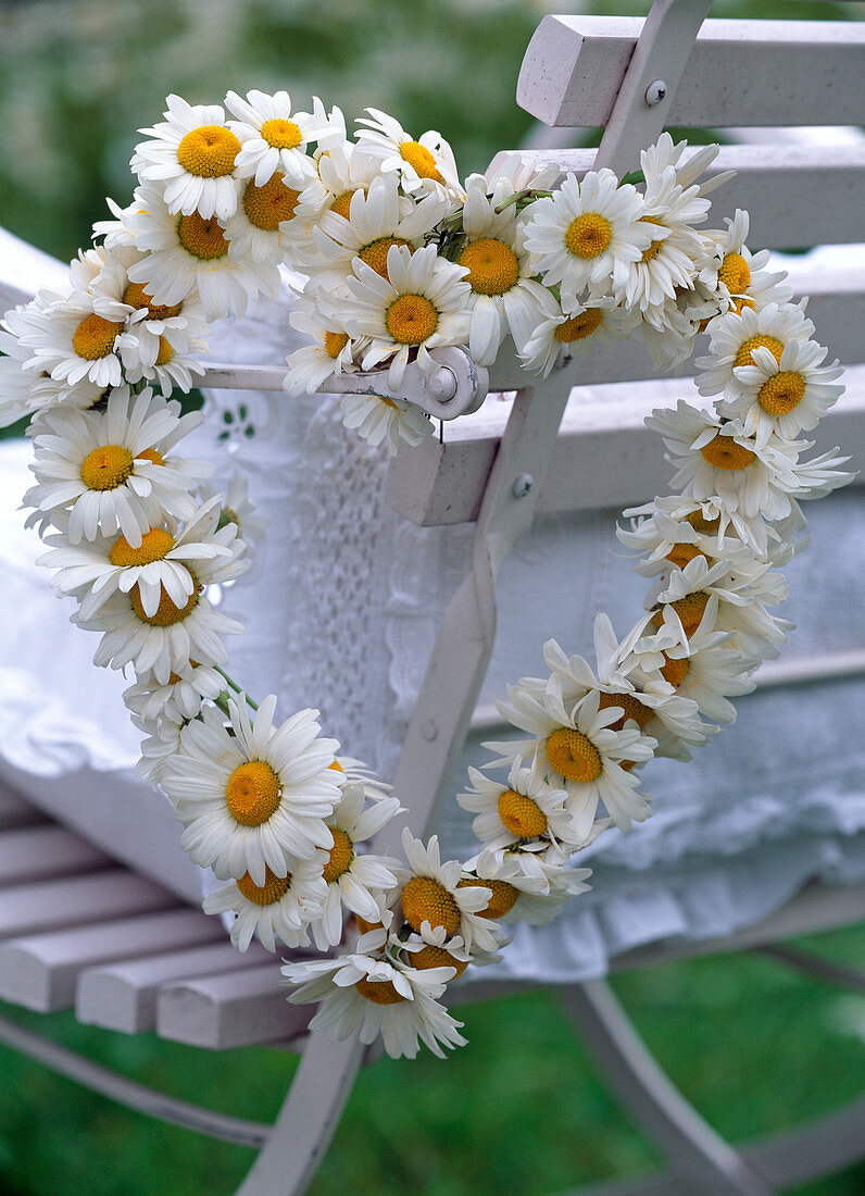 Stuhldeko: Leucanthemum / Margeritenherz (auf Drahtherz gewickelt)