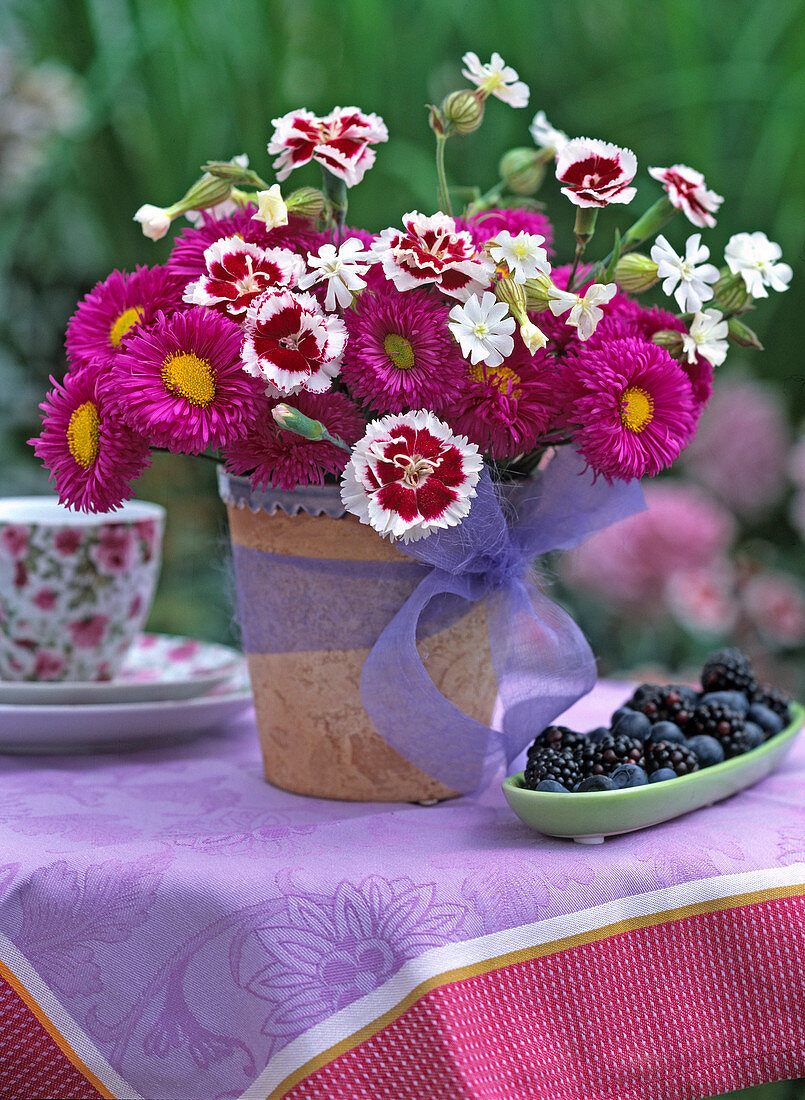 Erigeron 'Carmine Ray', Dianthus 'Alice'