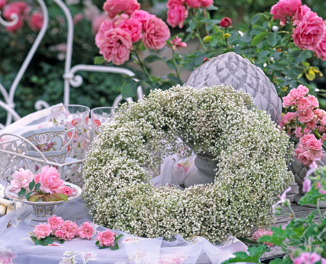 Gypsophila (baby's breath)