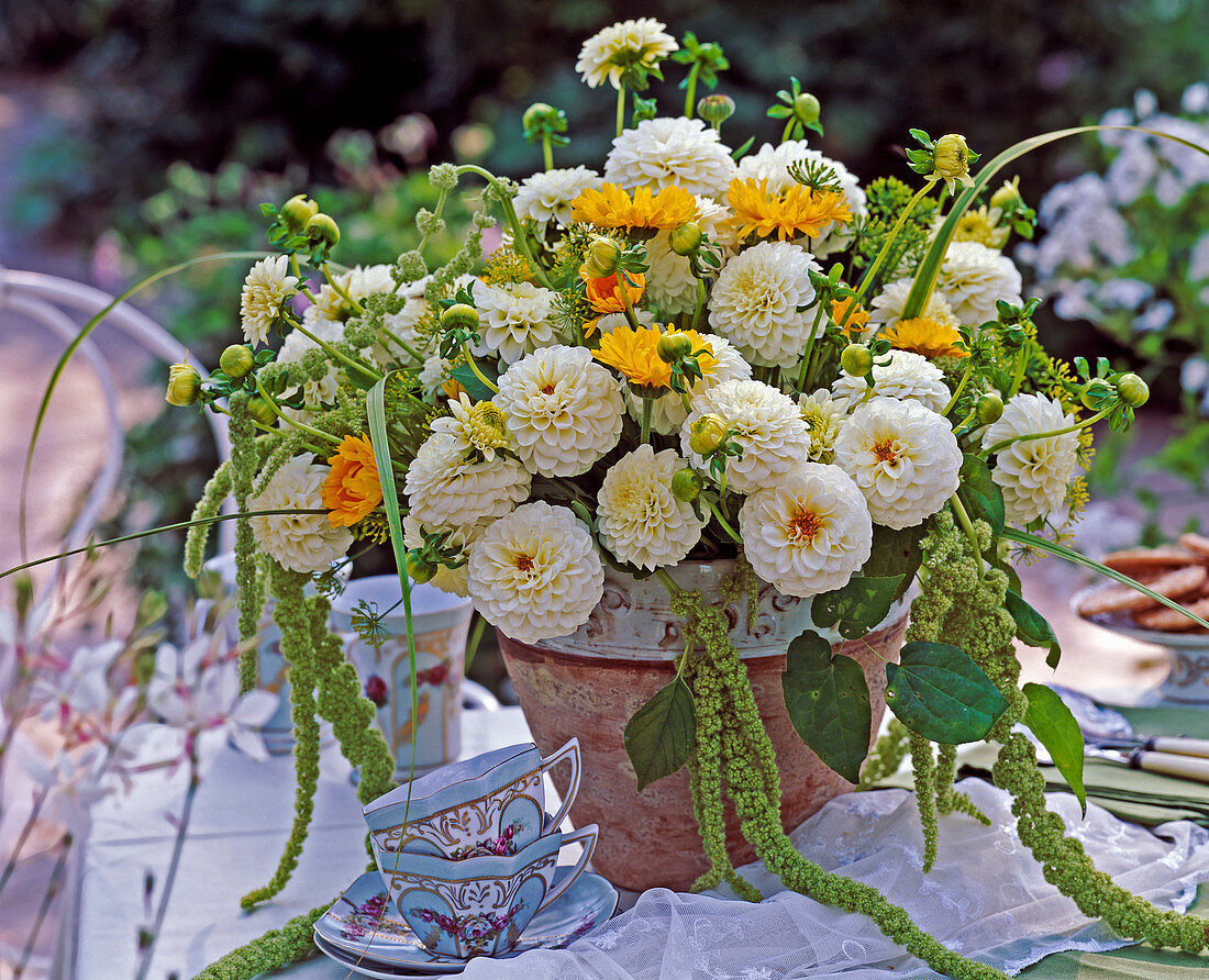 Dahlia (White Dahlias, Calendula (Marigold)