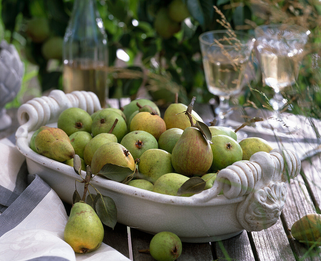 Pyrus (Birnen) in länglicher Keramikschale