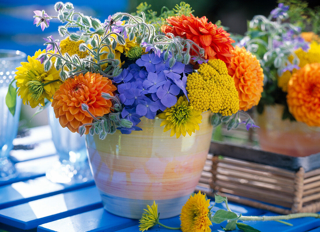 Hydrangea (Hortensie), Dahlia (Dahlien)