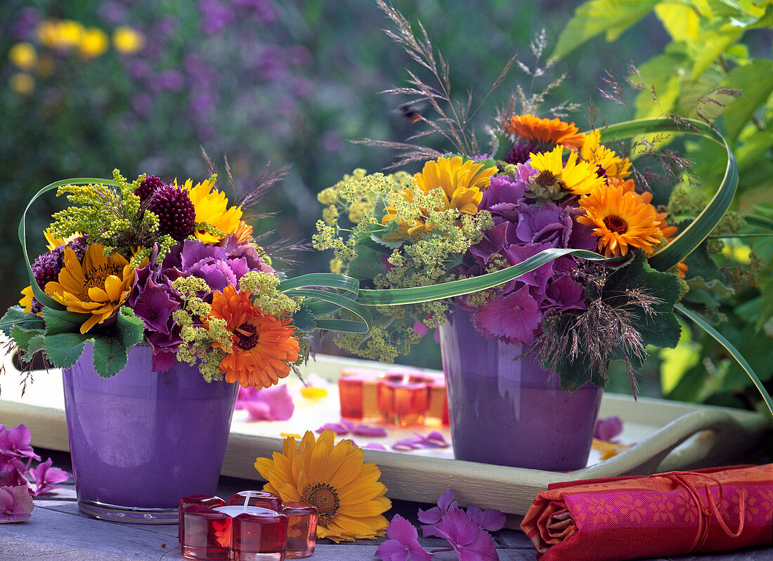 Calendula (Ringelblumen), Heliopsis (Sonnenauge)